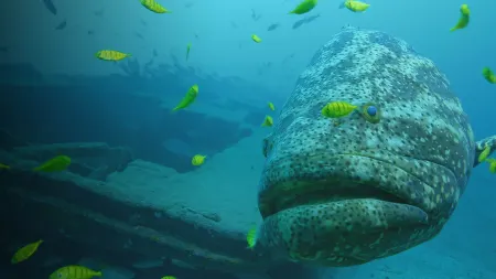 La costa selvaggia della Colombia