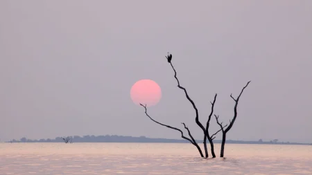 I grandi fiumi della Terra
