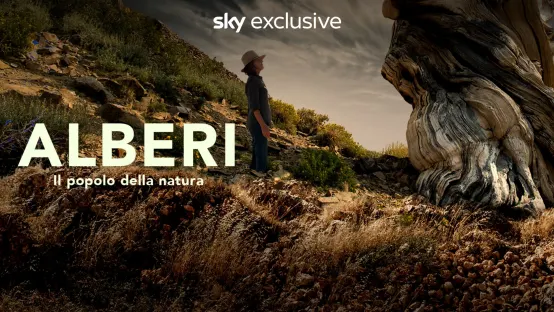 Alberi - Il Popolo Della Natura