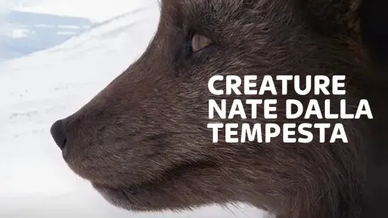 Creature nate dalla tempesta