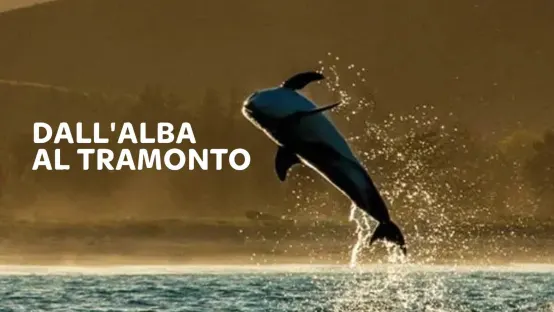 Dall'alba al tramonto