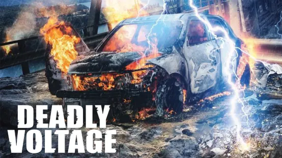 Deadly Voltage