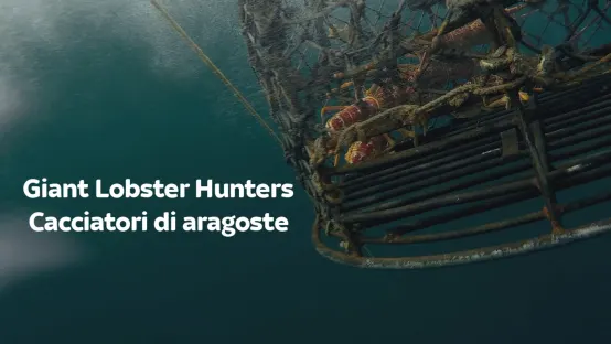 Giant Lobster Hunters