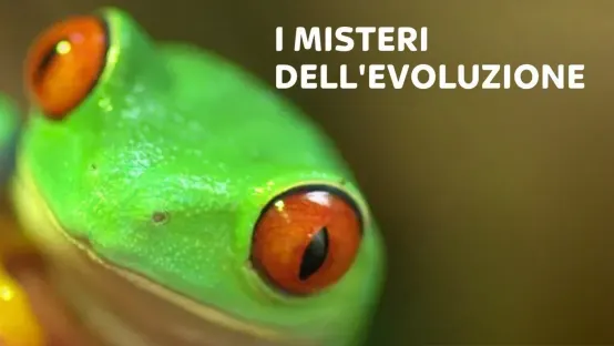 I misteri dell'evoluzione