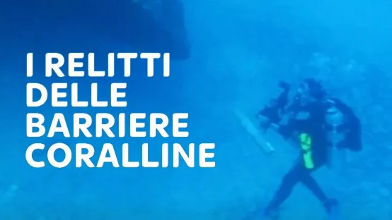 I relitti delle barriere coralline