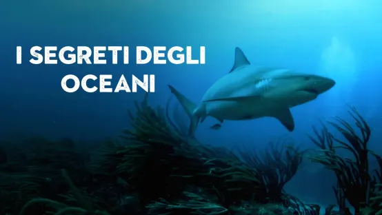 I segreti degli oceani