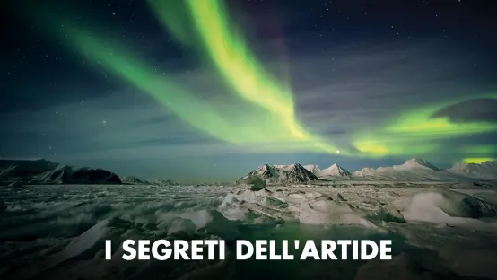I segreti dell'Artide