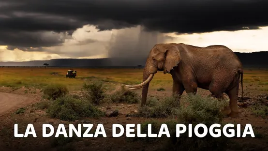 La danza della pioggia