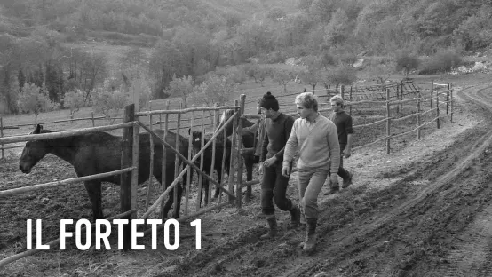 Il Forteto