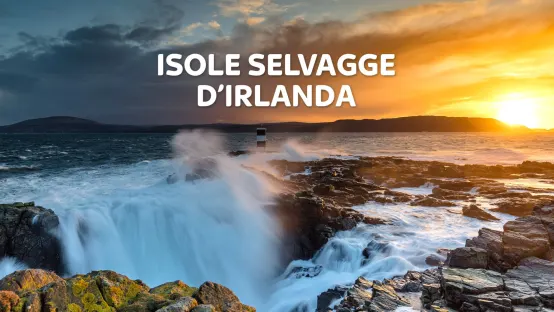 Isole selvagge d'Irlanda