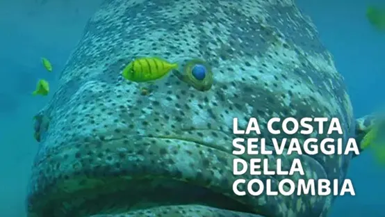 La costa selvaggia della Colombia