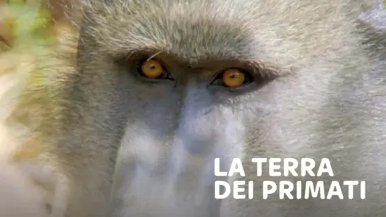 La terra dei primati