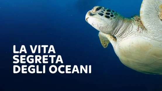 La vita segreta degli oceani