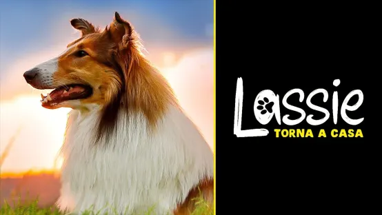 Lassie torna a casa