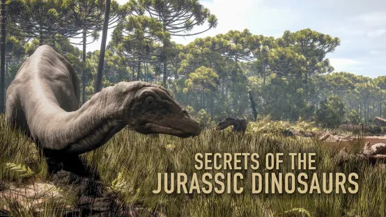 Secrets of the Jurassic Dinosaurs
