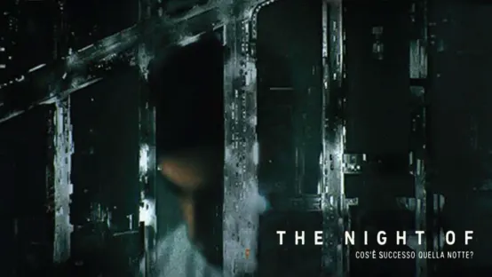 The Night Of - Cosa è successo quella notte?
