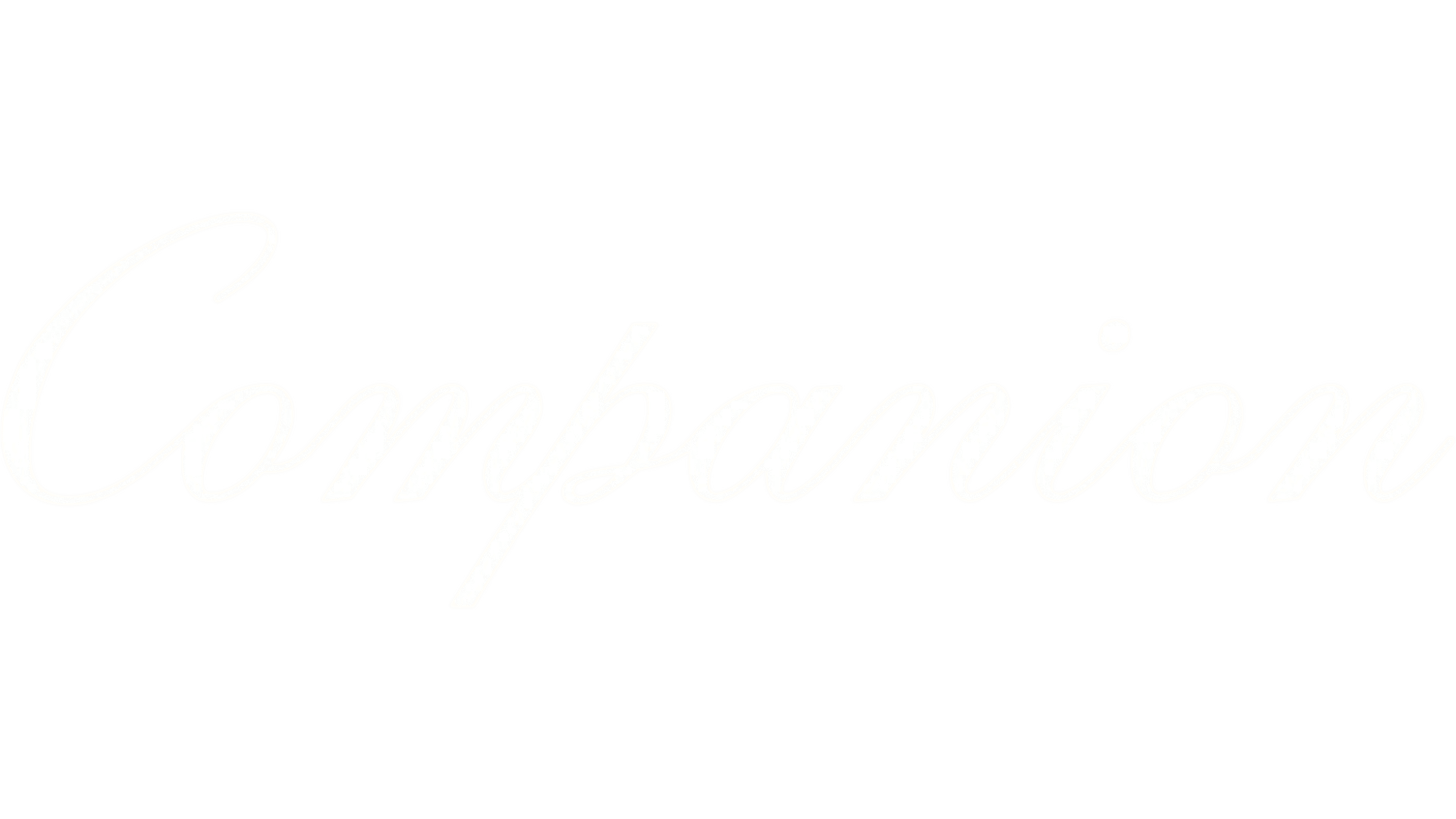 Companion