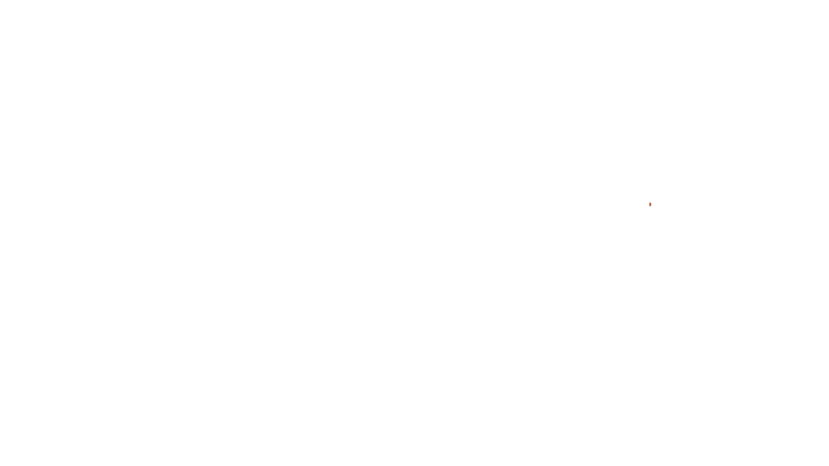 Dune - Parte due