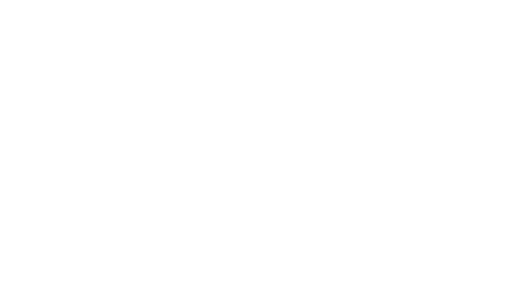 Flight