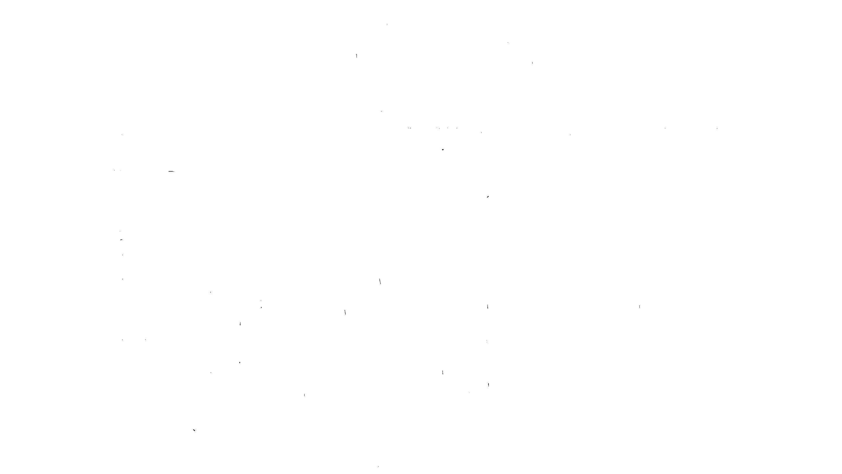 Indie Jungle