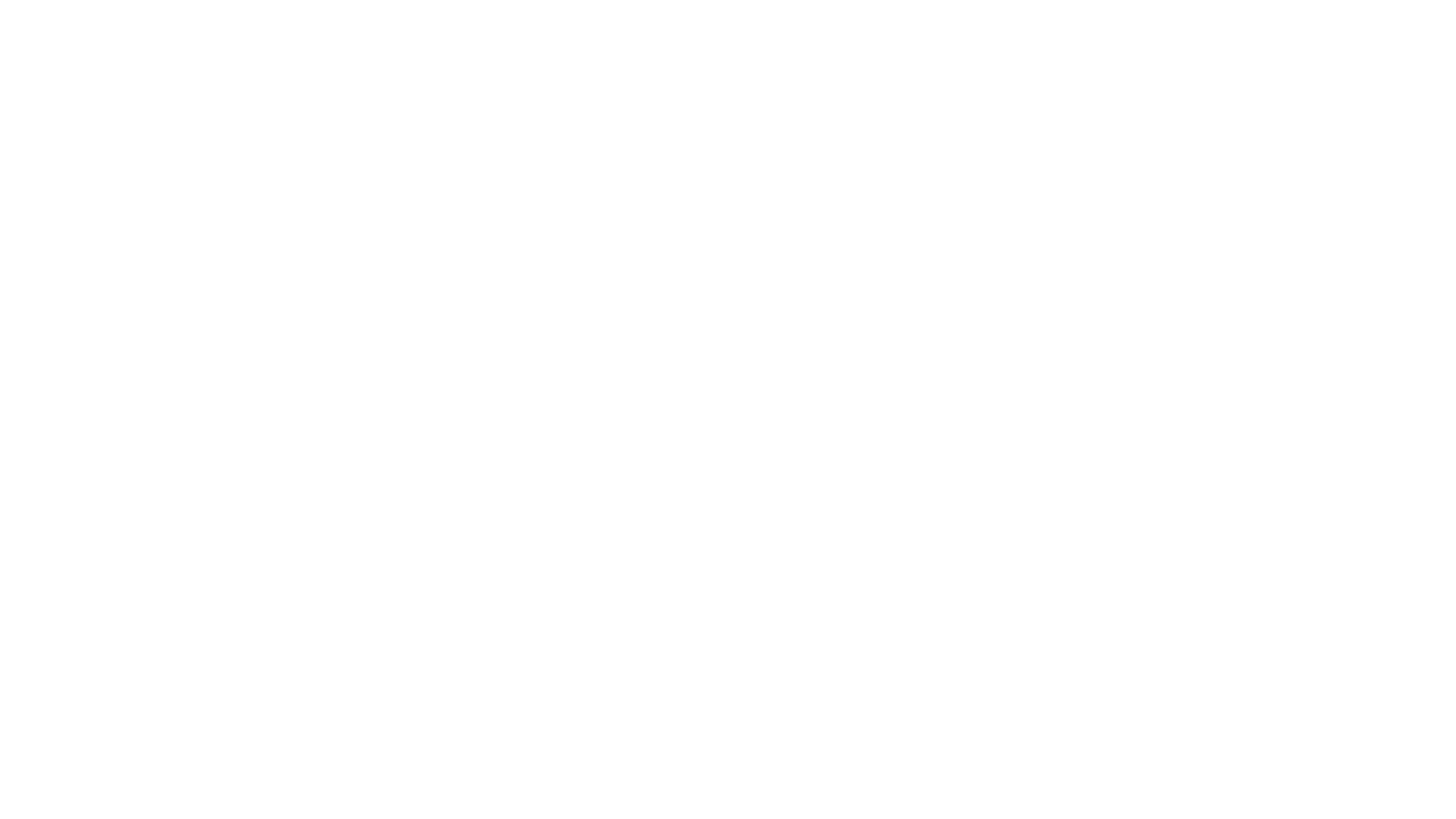 Millennium Bug