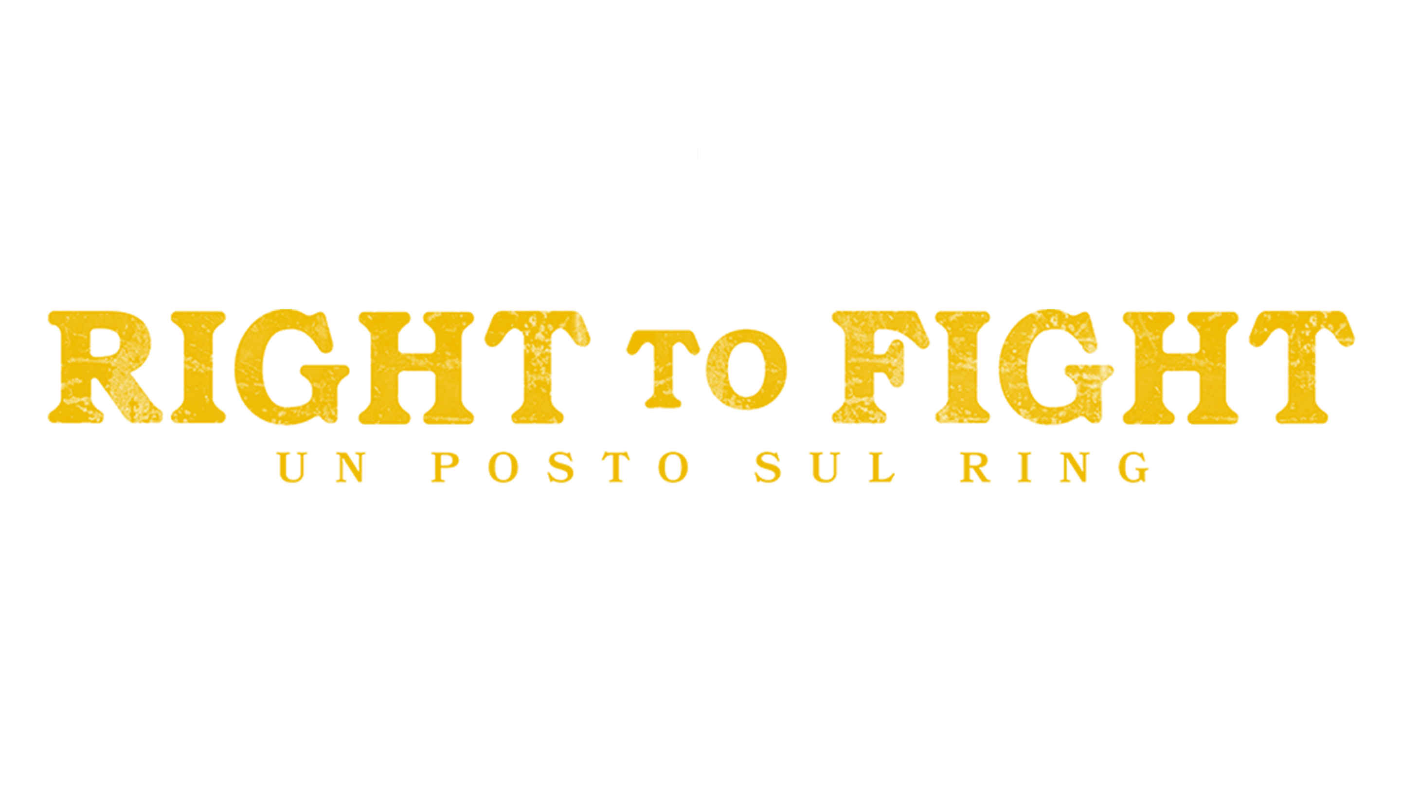 Right to fight - Un posto sul ring