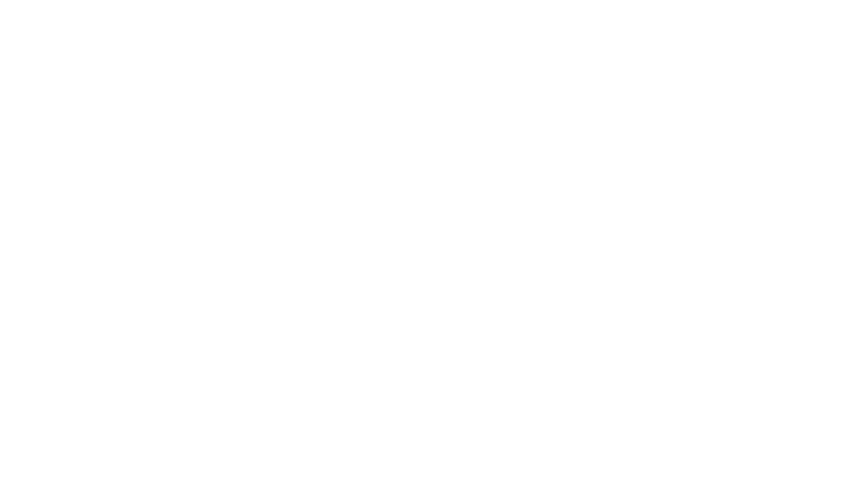 Steven Van Zandt: Disciple
