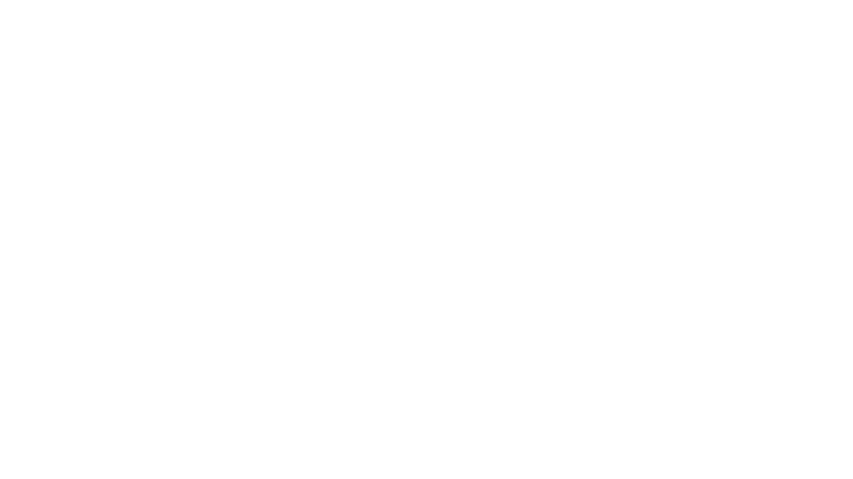 The Detectives