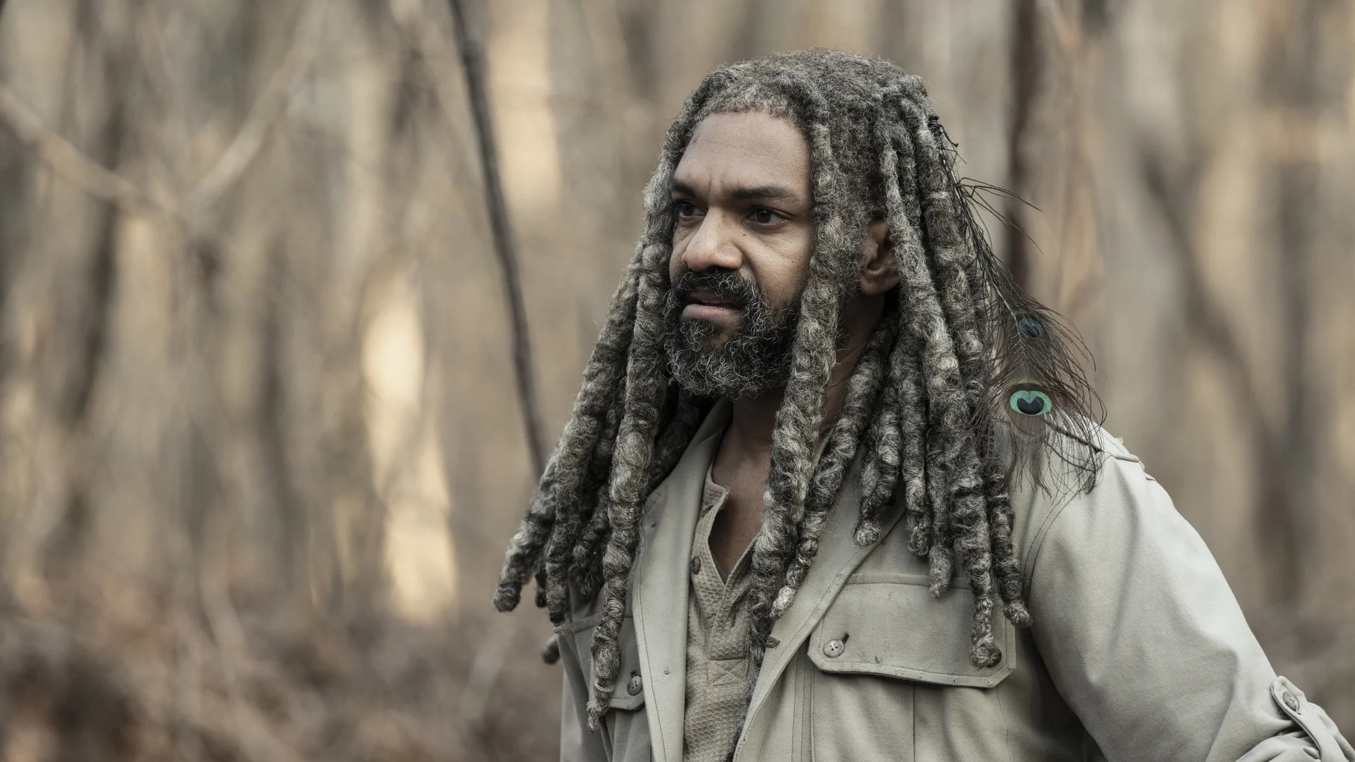 The Walking Dead stagione 11