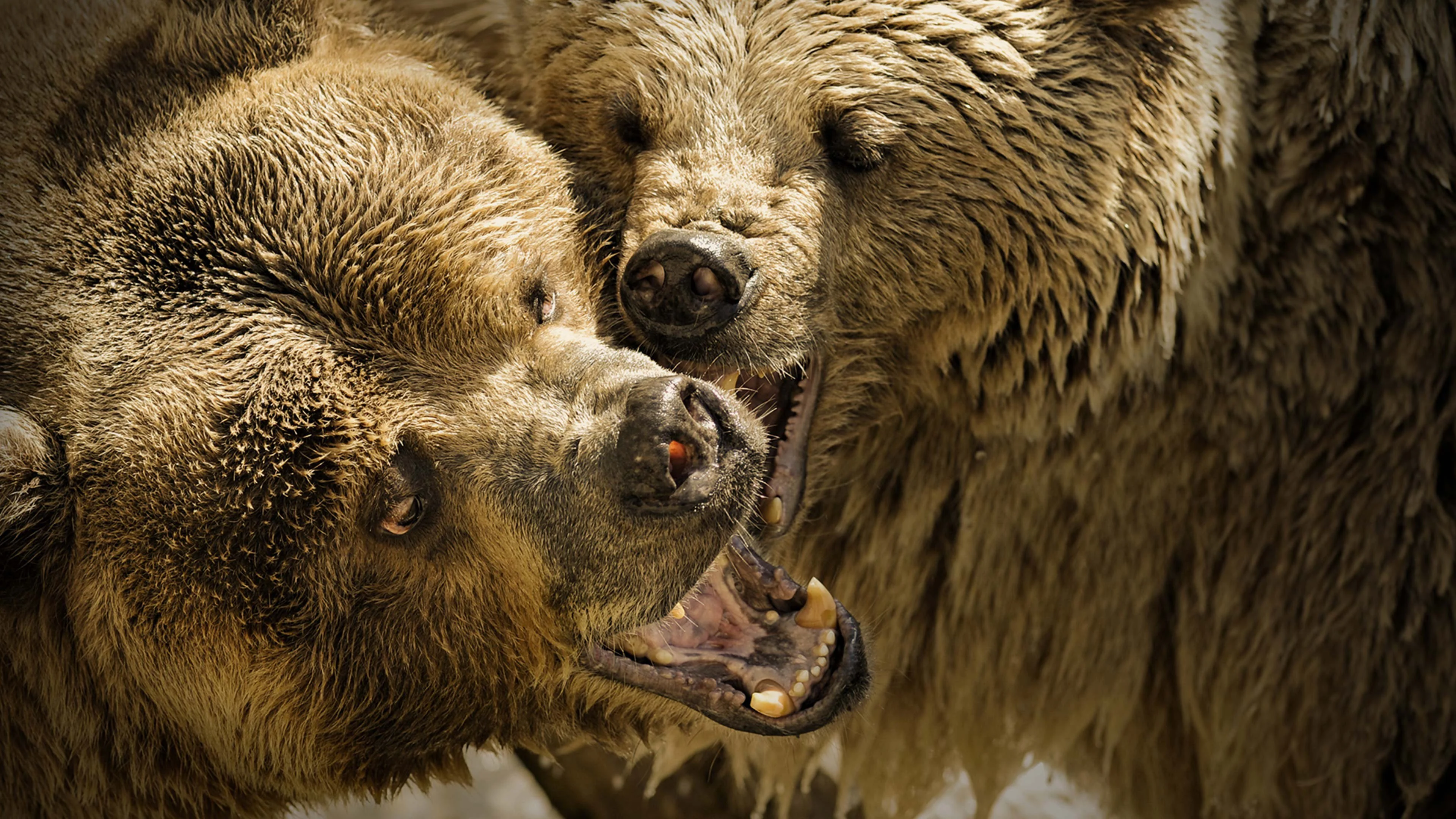 I gladiatori della natura stagione 1