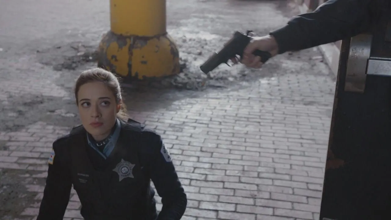 Chicago P.D. stagione 2