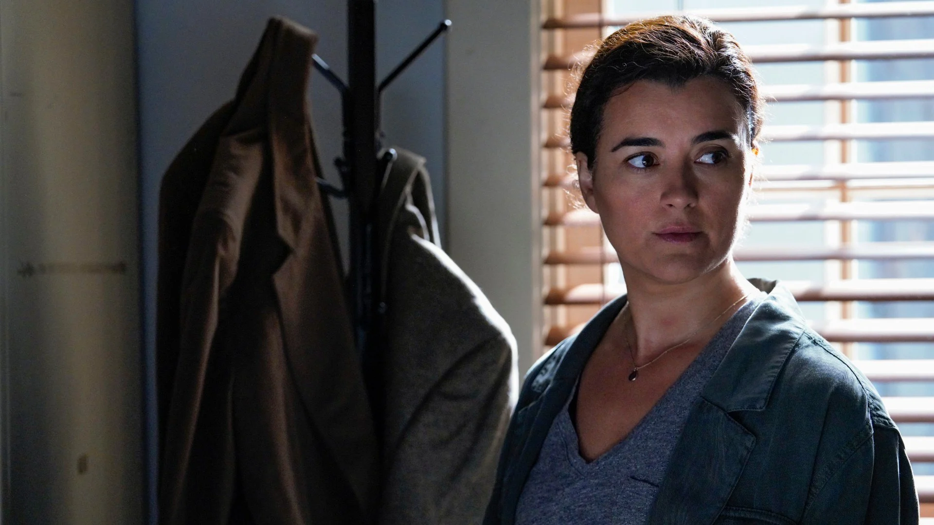 NCIS stagione 17