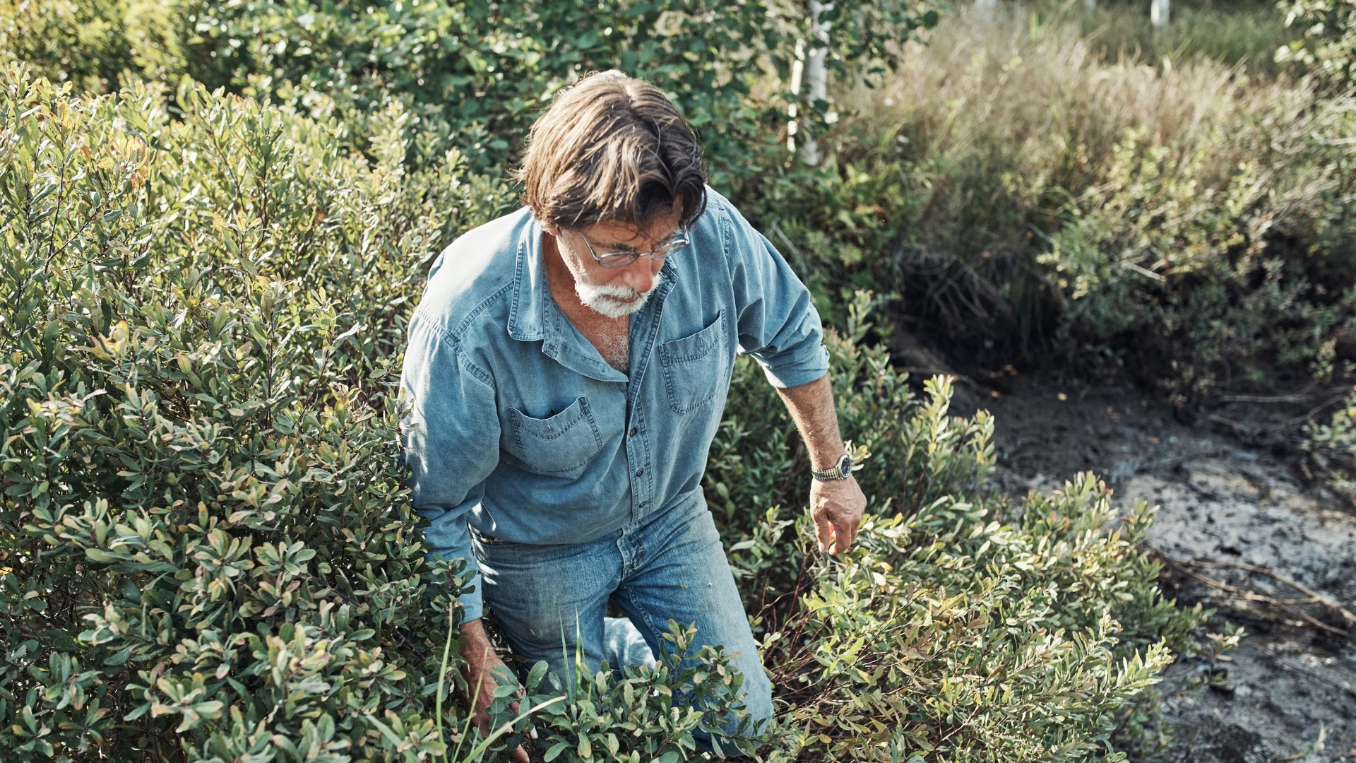 Oak Island e il tesoro maledetto stagione 5