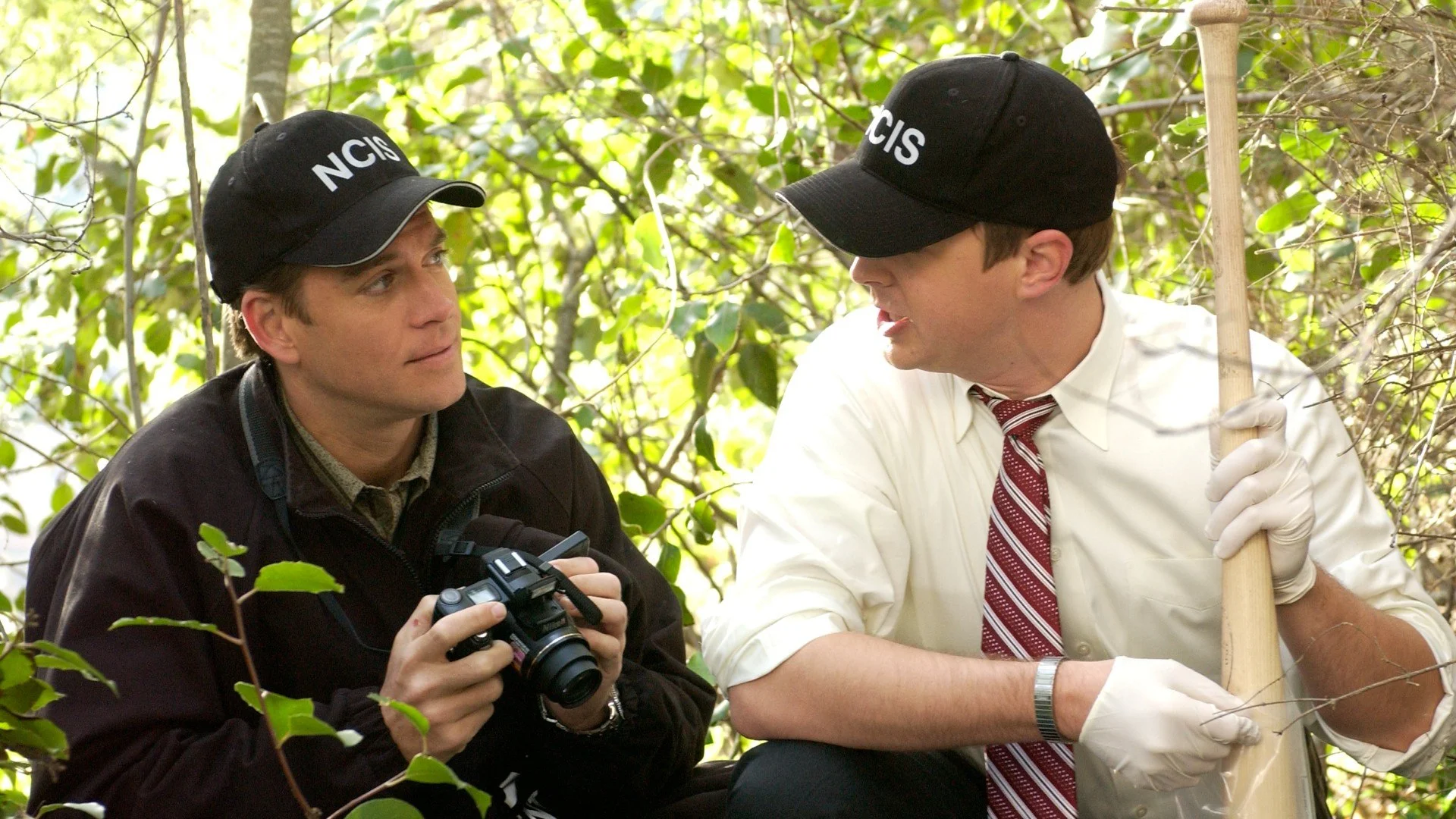 NCIS stagione 2