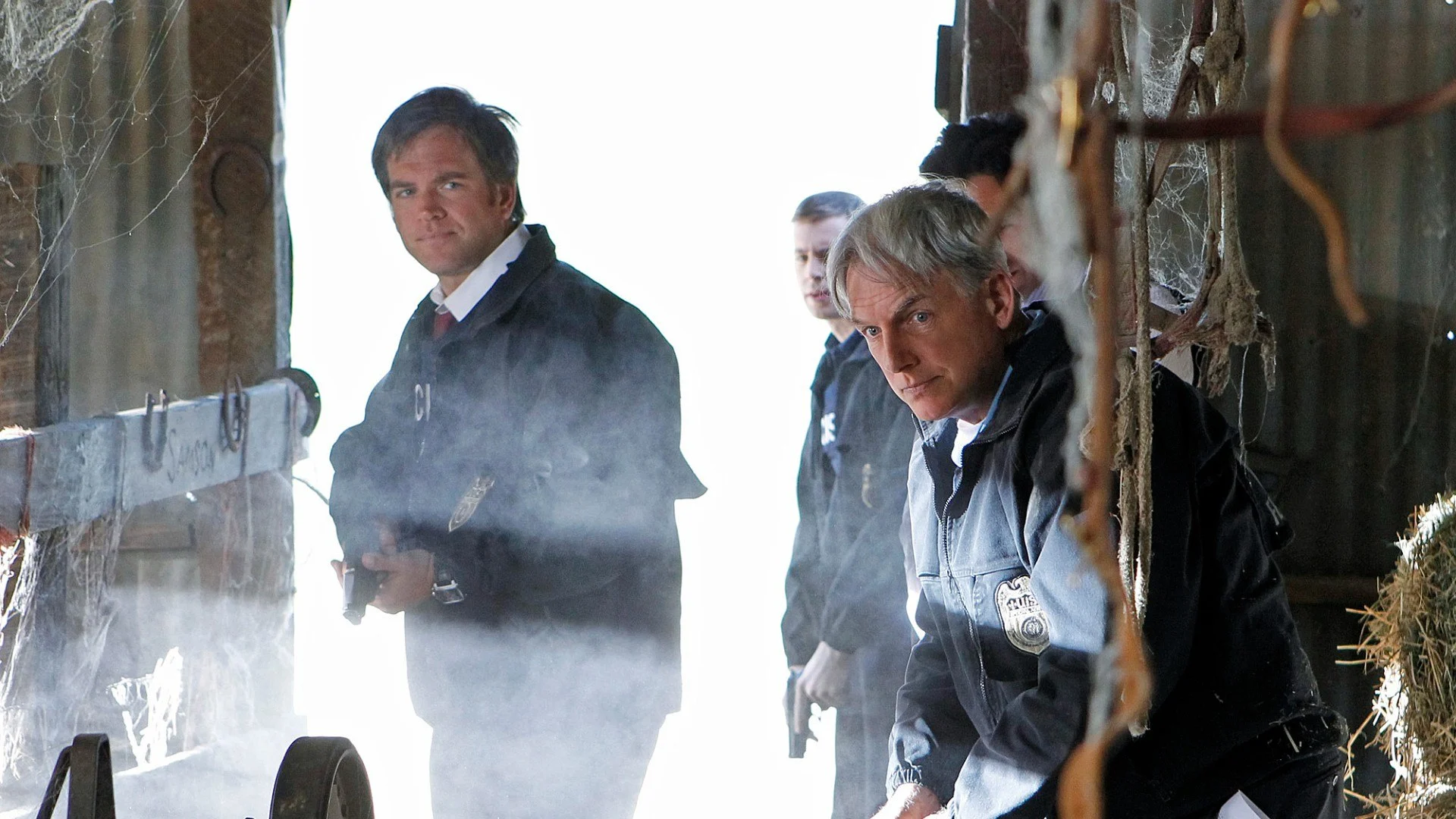 NCIS stagione 8