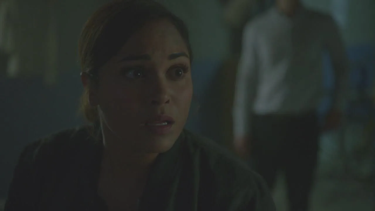 Chicago Fire stagione 6
