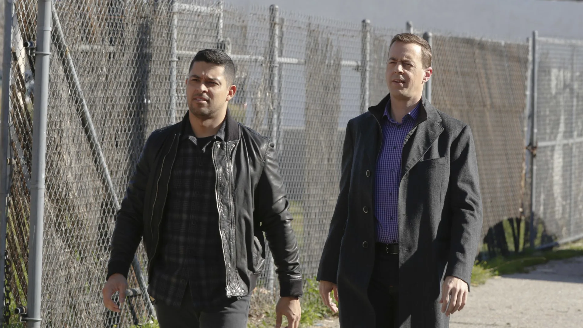 NCIS stagione 14
