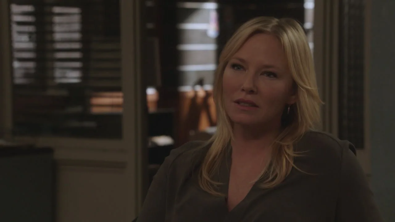 Law & Order: Special Victims Unit stagione 19