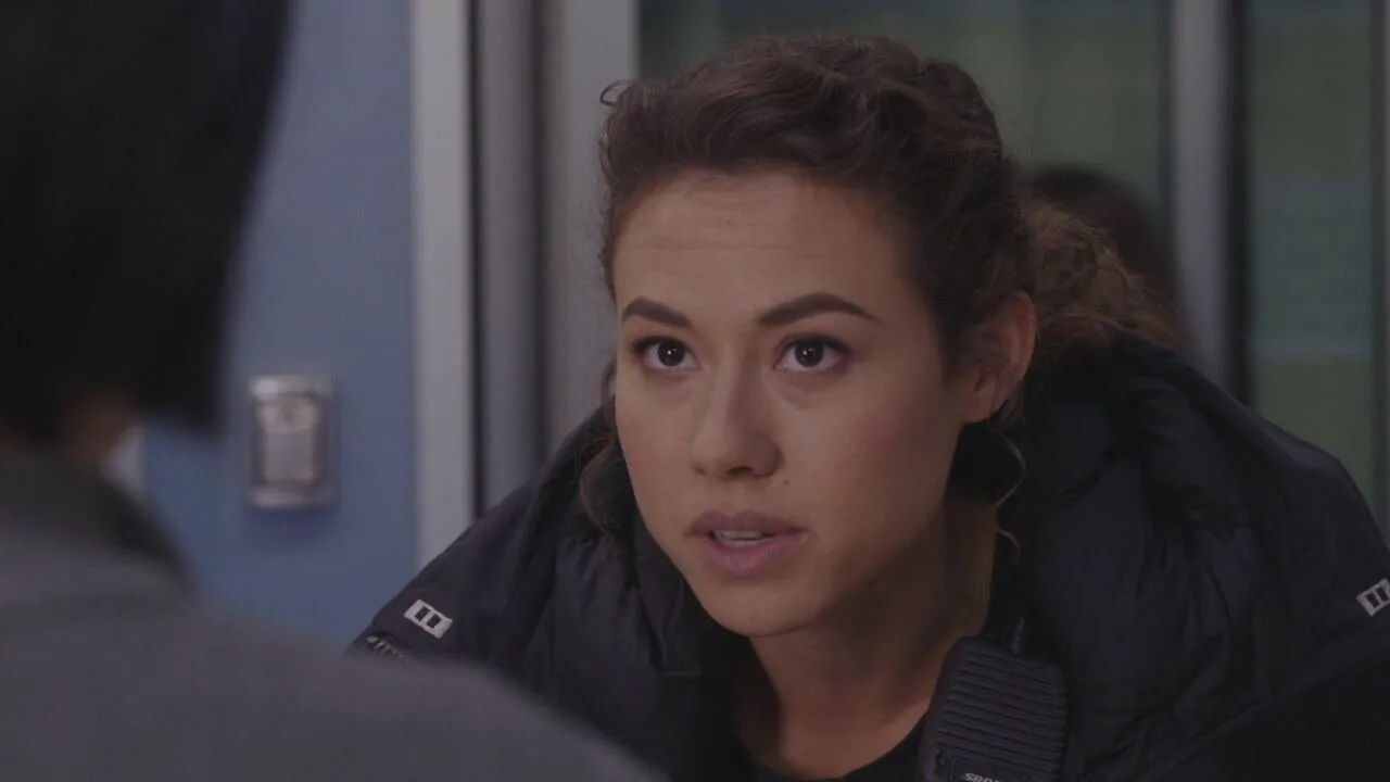Chicago Fire stagione 4