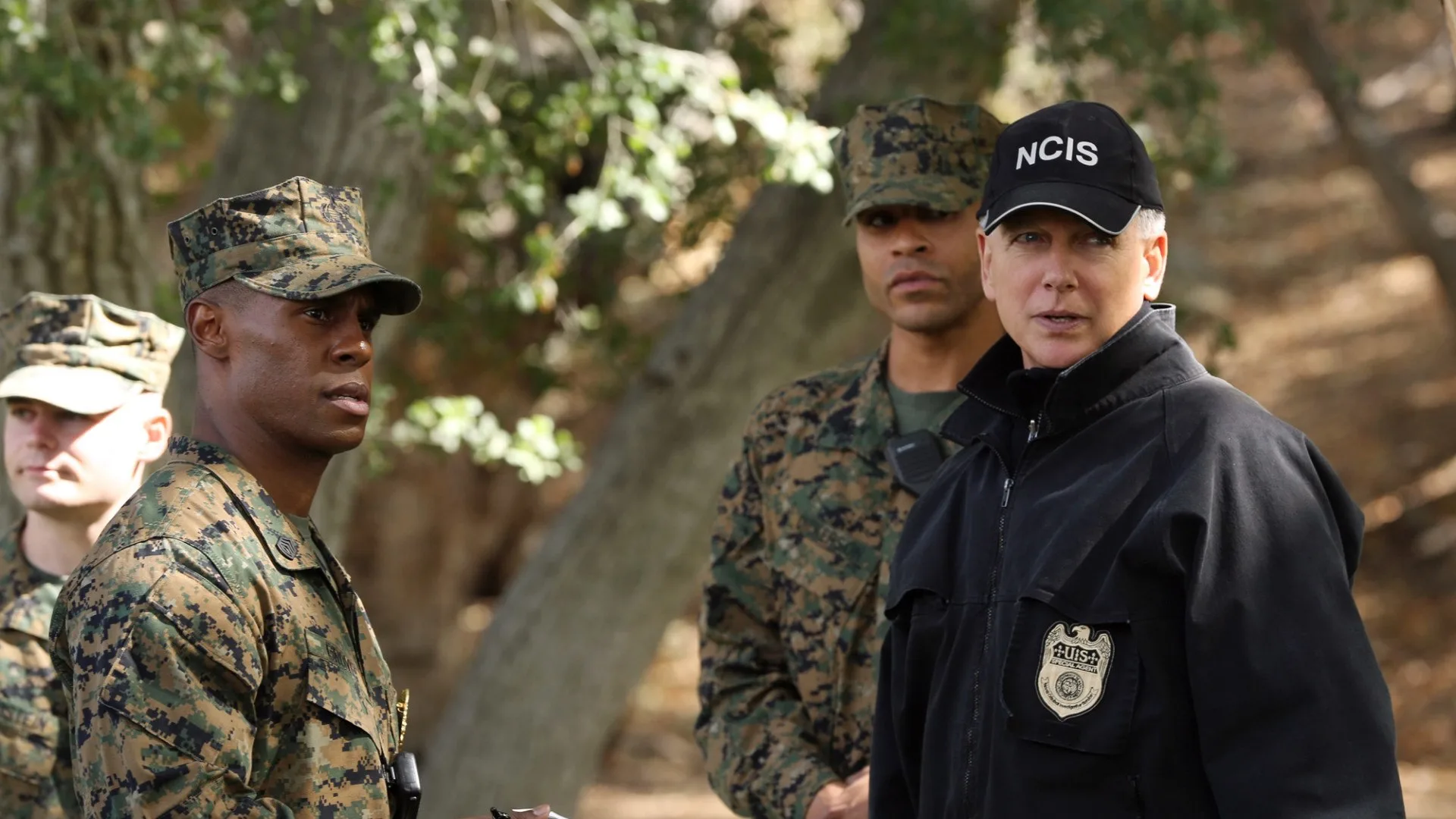 NCIS stagione 11
