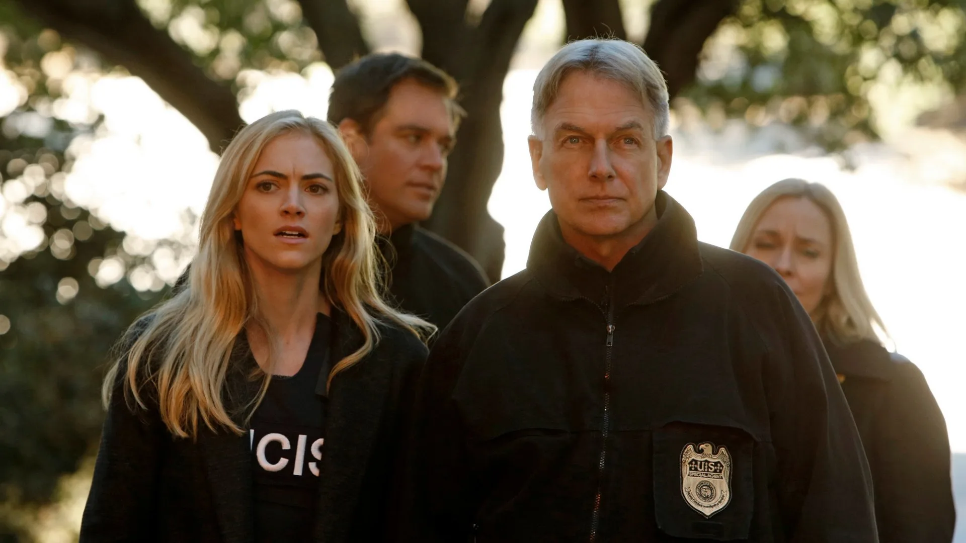 NCIS stagione 11