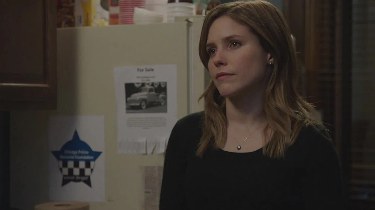 Chicago P.D. stagione 1
