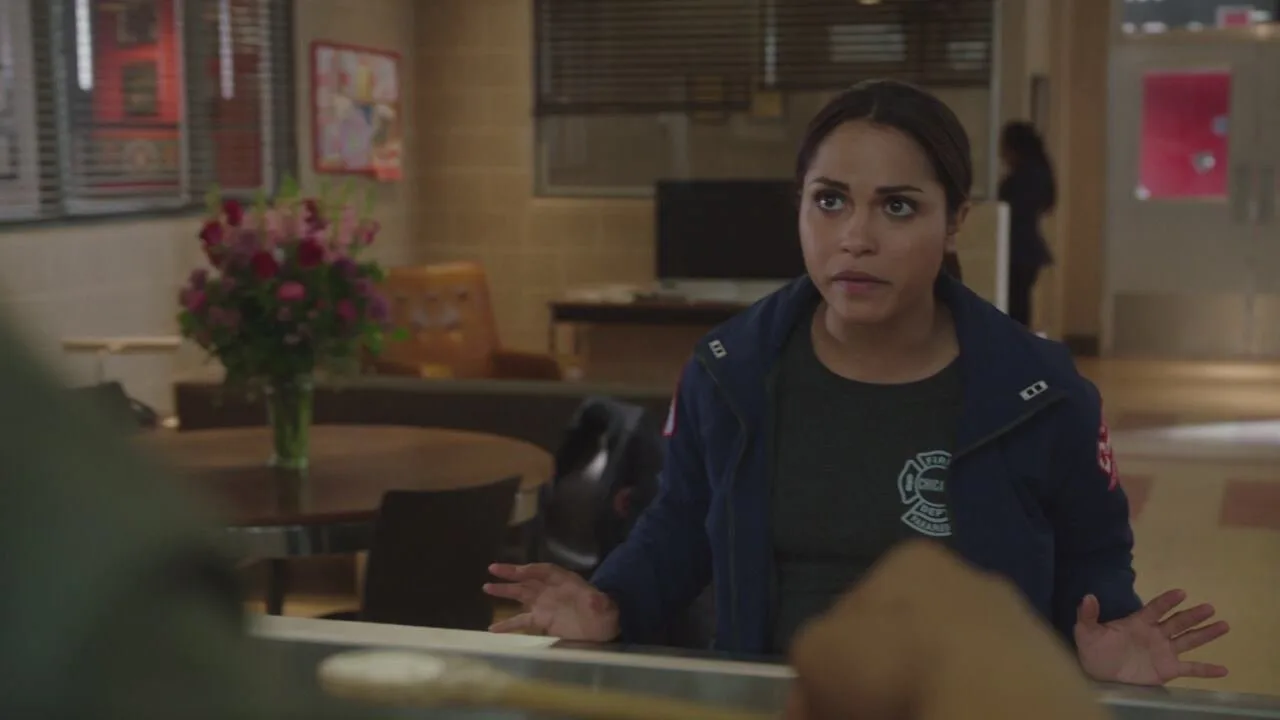 Chicago Fire stagione 1