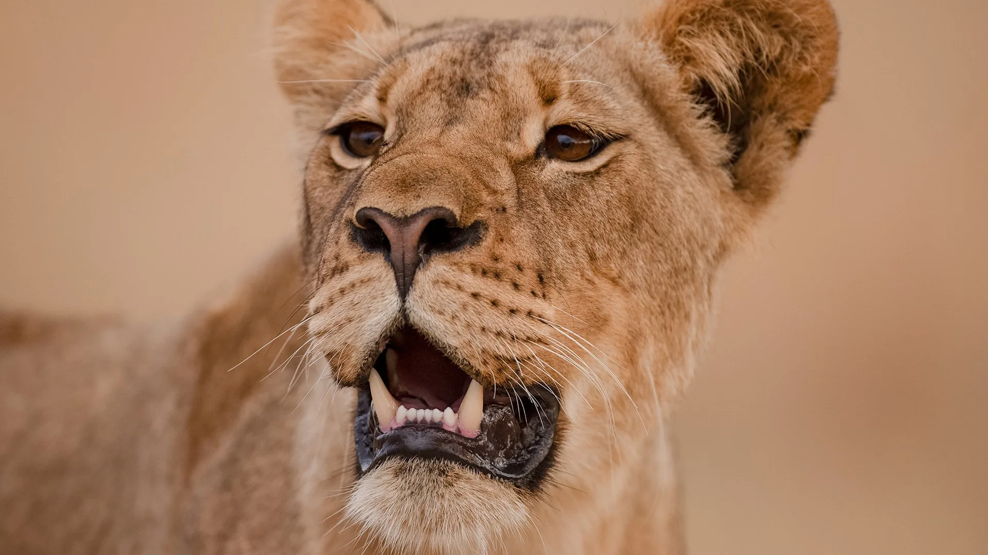 I gladiatori della natura stagione 1