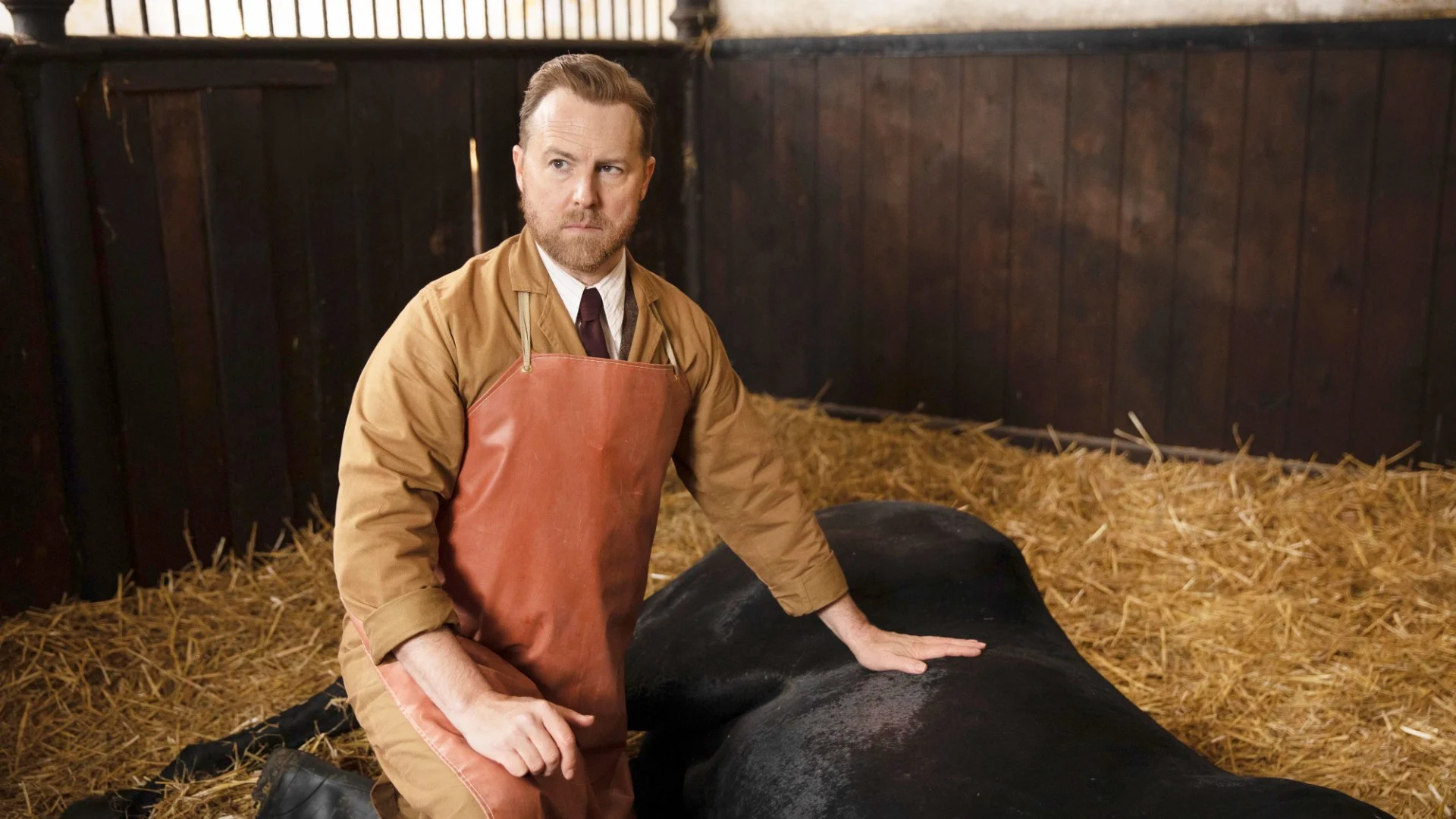 Creature grandi e piccole - Un veterinario di provincia stagione 1