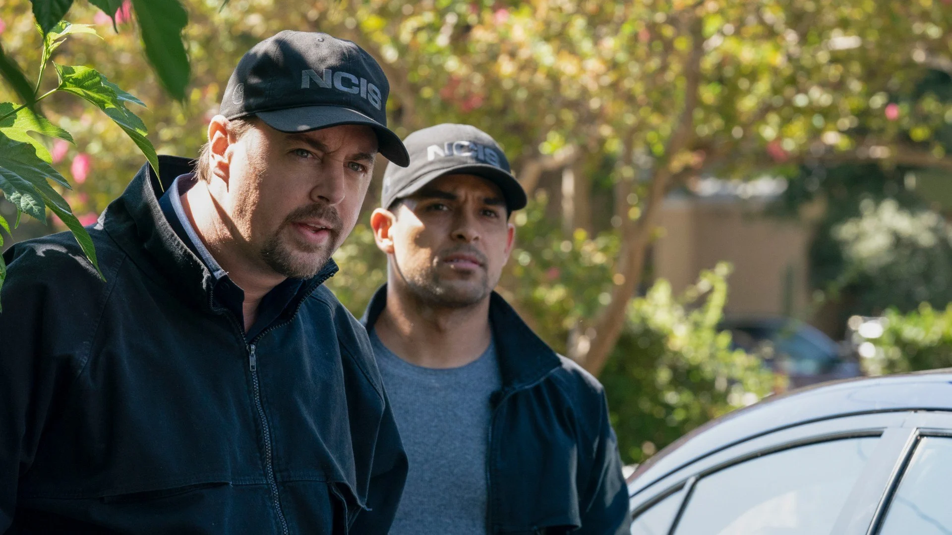 NCIS stagione 17