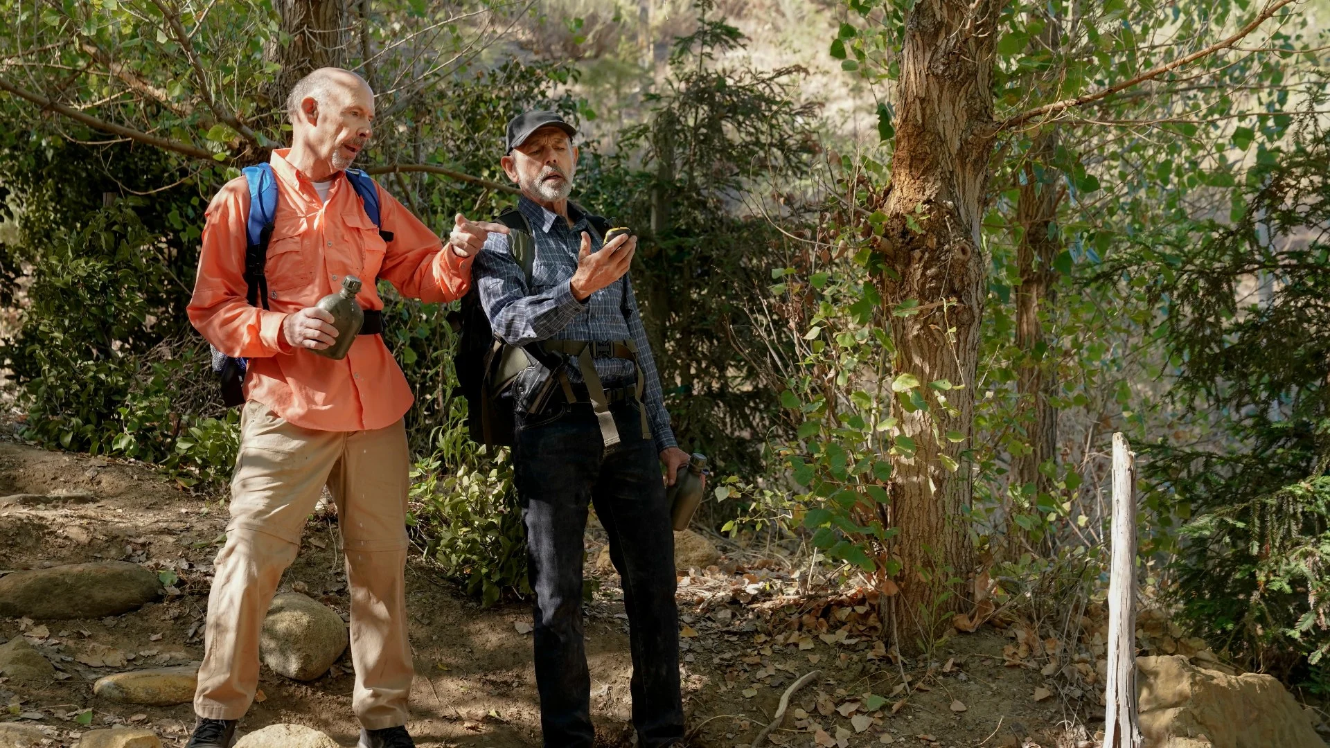 NCIS stagione 16