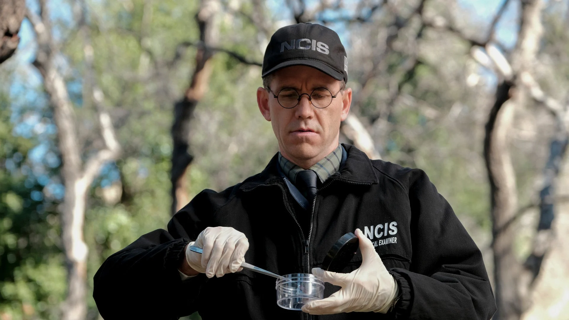 NCIS stagione 17