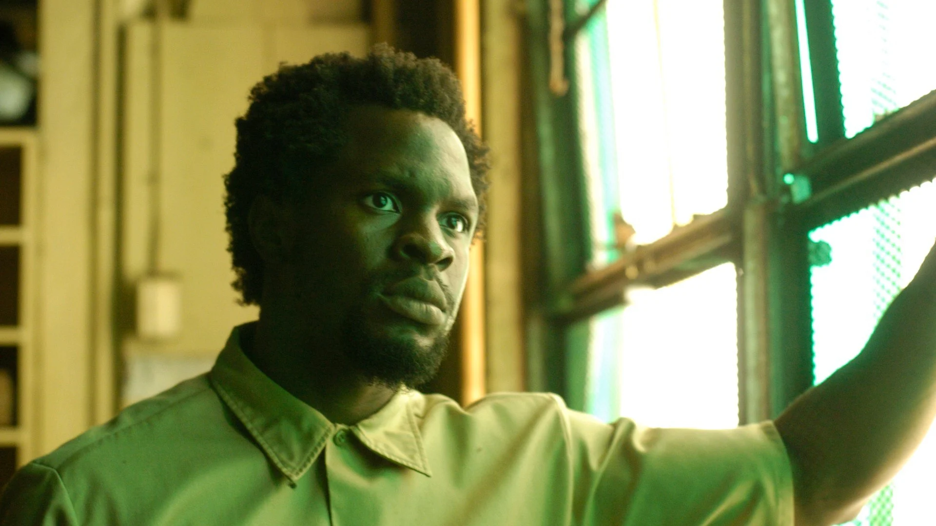 The Wire stagione 5