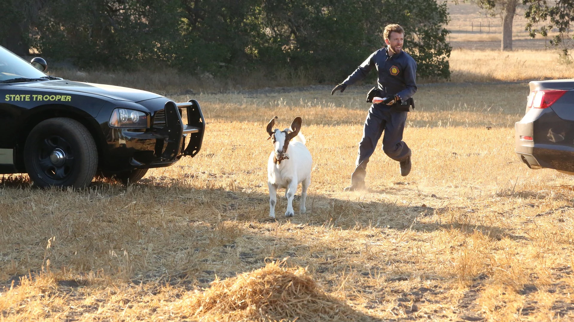 Bones stagione 10